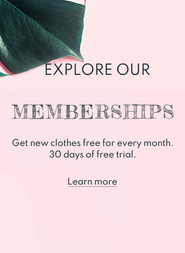 Explore Our
